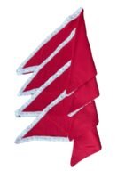 ЧЕРВЕНА ЗАБРАДКА – Модел 6 - с автентични шевици от Магазин за народни носии